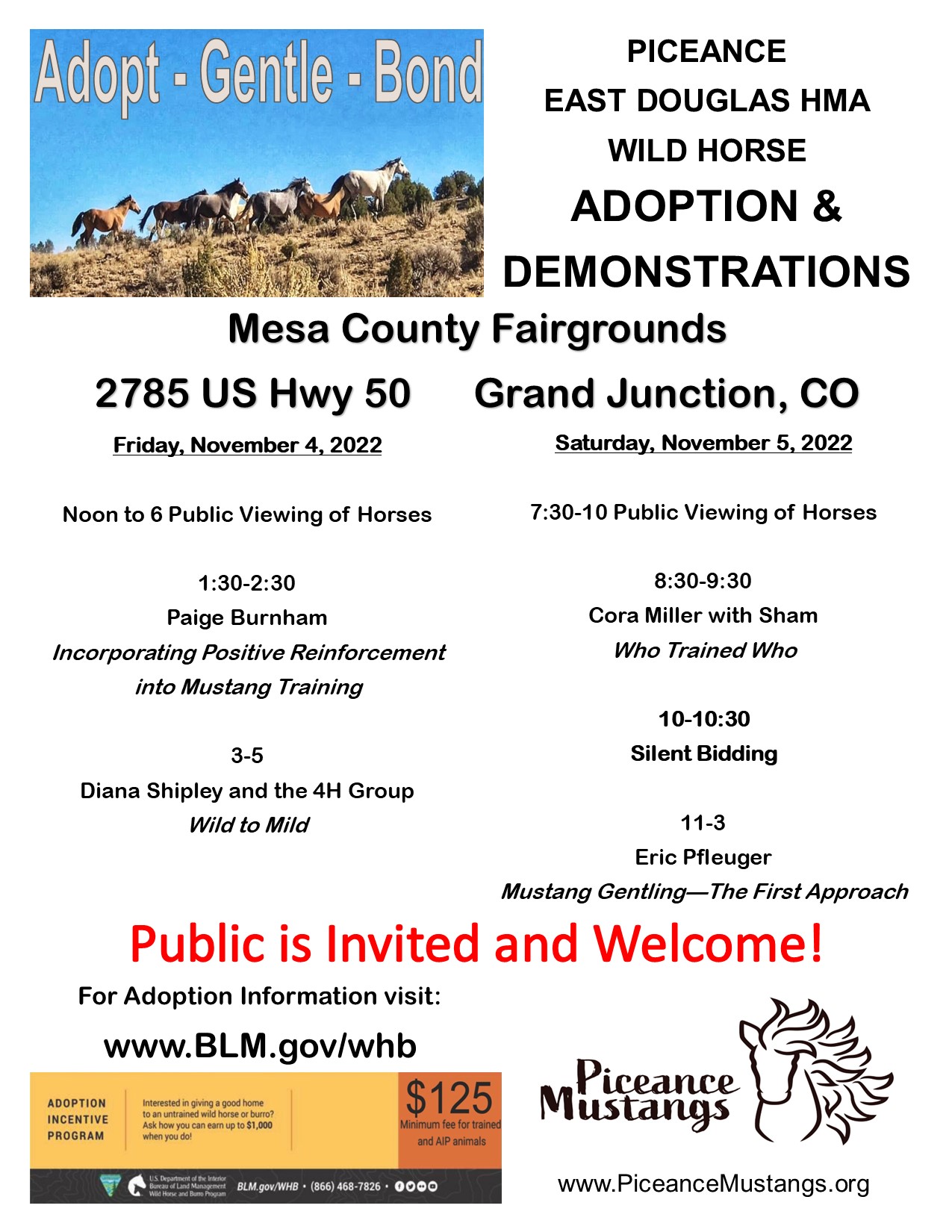 BLM PiceanceEast Douglas Wild Horse Adoption Event in Grand Junction